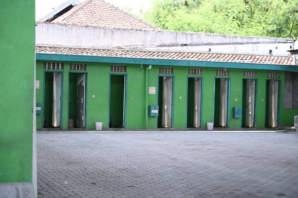 Sanitation services for porta potties in North Yelm, WA